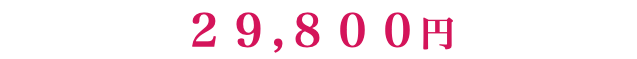 ２９,８００円